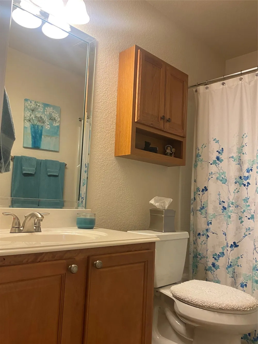 2250 Kaitlyn Drive Weatherford, TX 76087