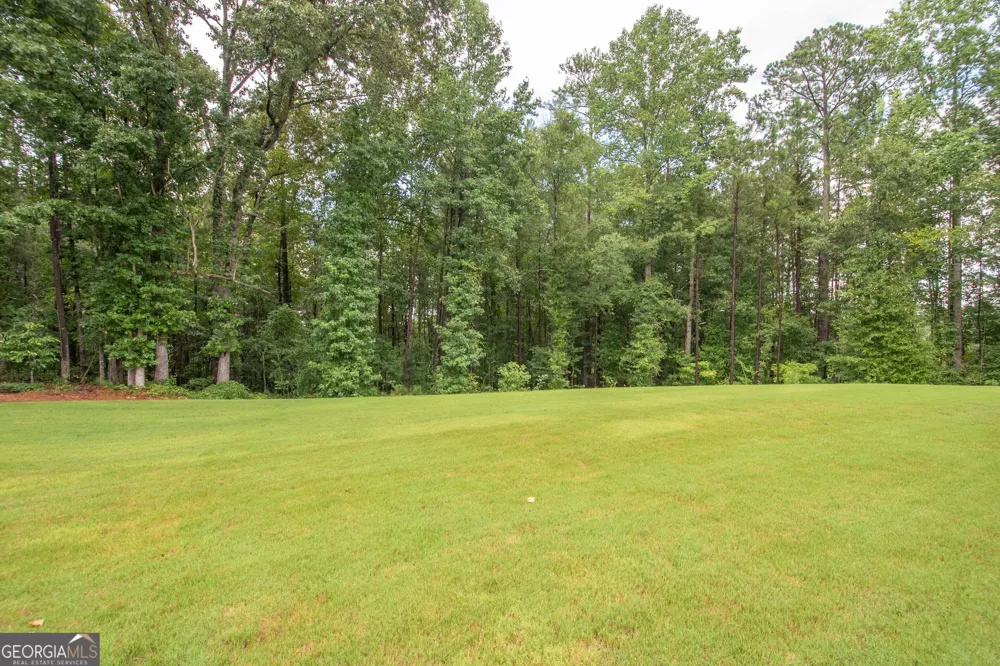 33 Ryeland DR Senoia, GA 30276