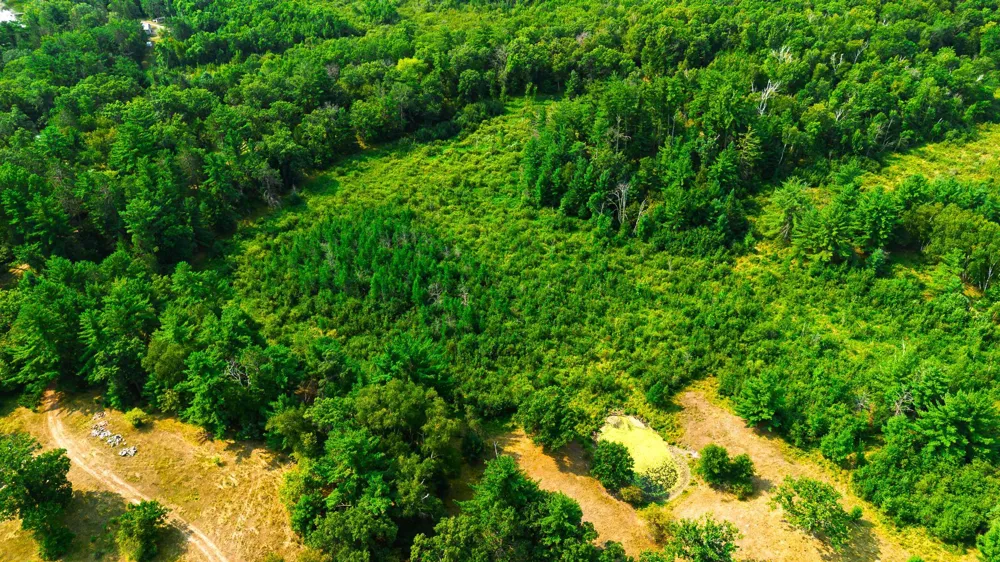 TBD County Road 23 Brainerd, MN 56401