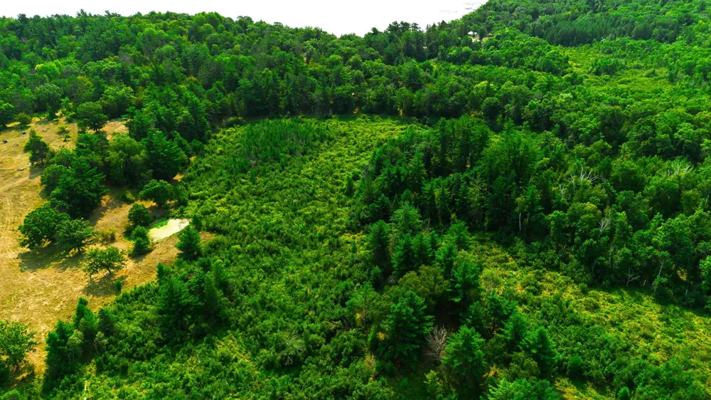 TBD County Road 23 Brainerd, MN 56401