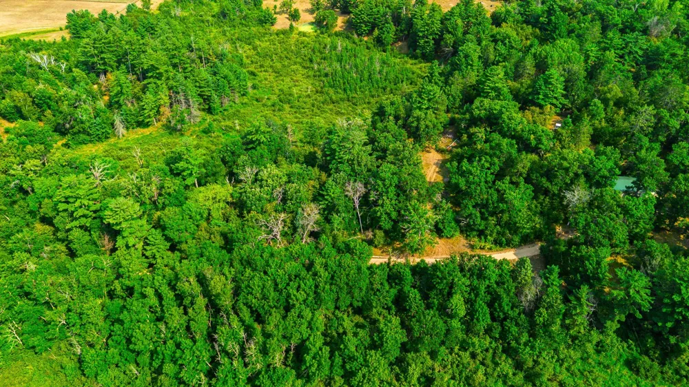 TBD County Road 23 Brainerd, MN 56401
