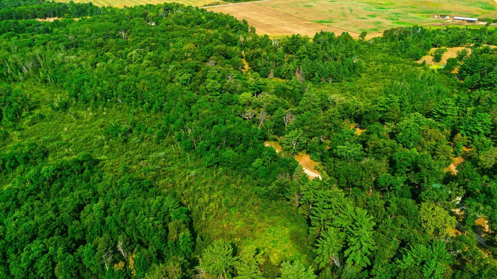 TBD County Road 23 Brainerd, MN 56401