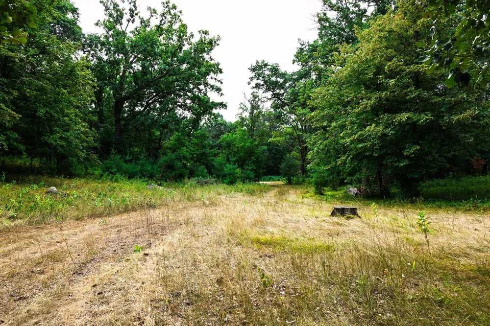 TBD County Road 23 Brainerd, MN 56401