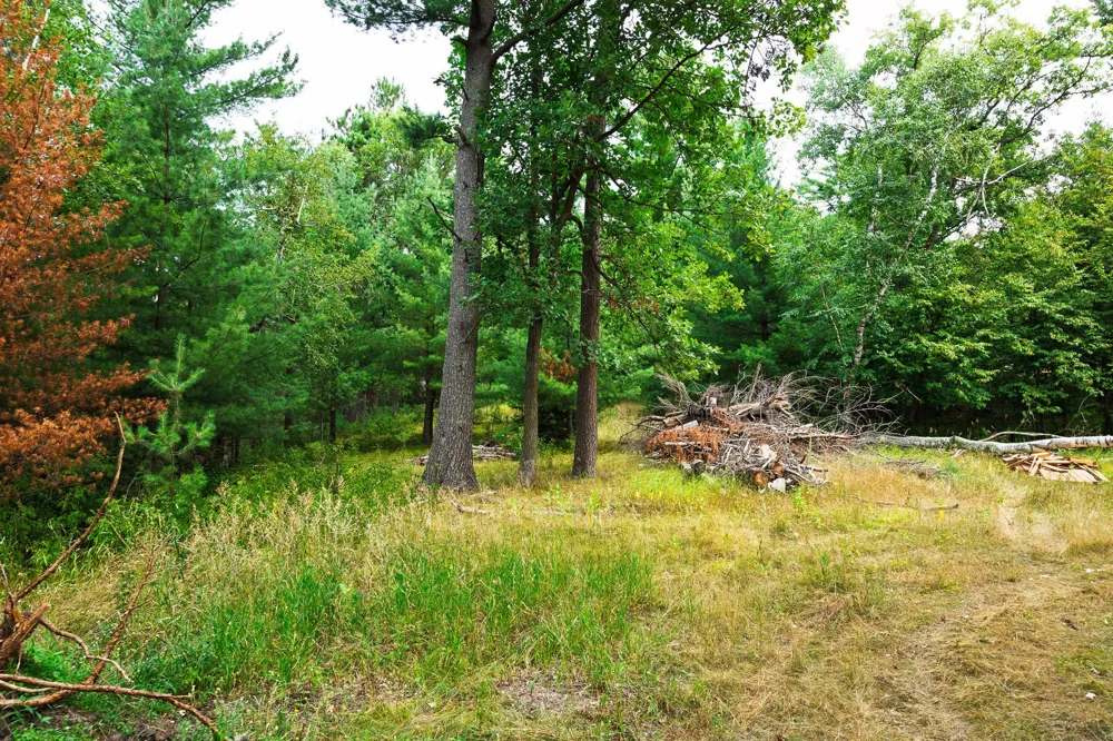 TBD County Road 23 Brainerd, MN 56401