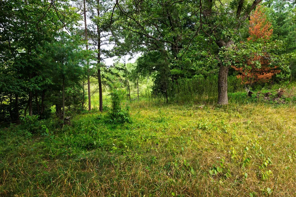 TBD County Road 23 Brainerd, MN 56401