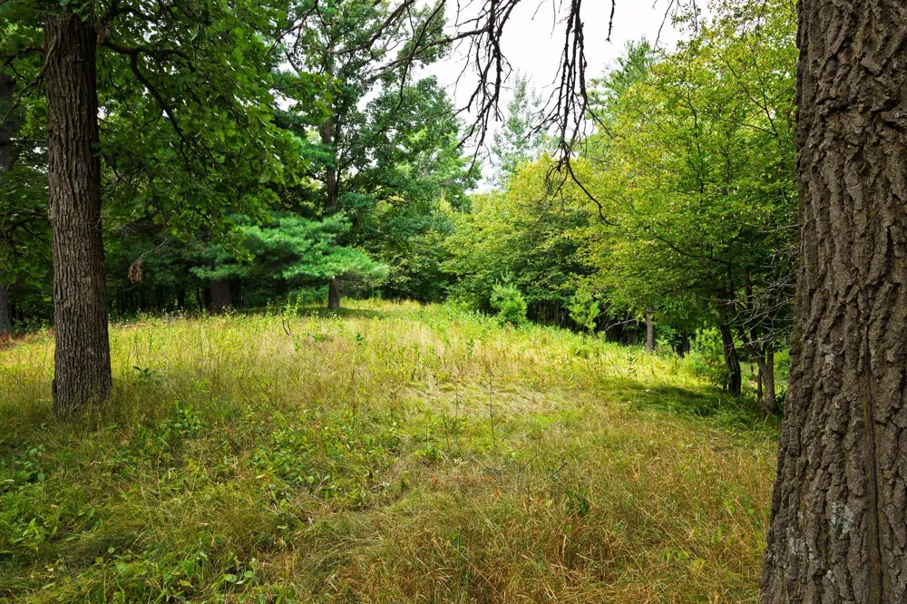 TBD County Road 23 Brainerd, MN 56401