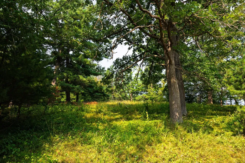 TBD County Road 23 Brainerd, MN 56401