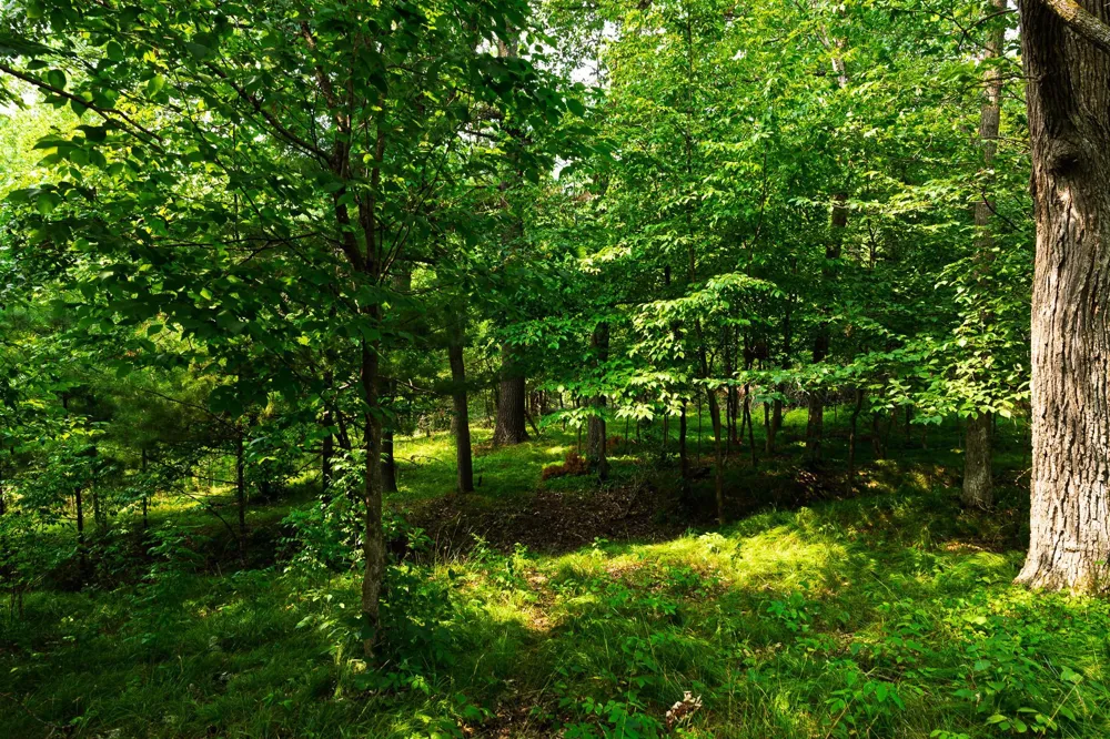 TBD County Road 23 Brainerd, MN 56401
