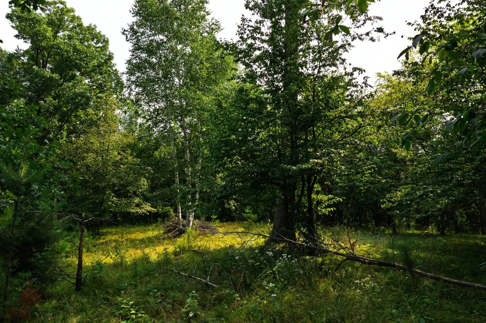 TBD County Road 23 Brainerd, MN 56401