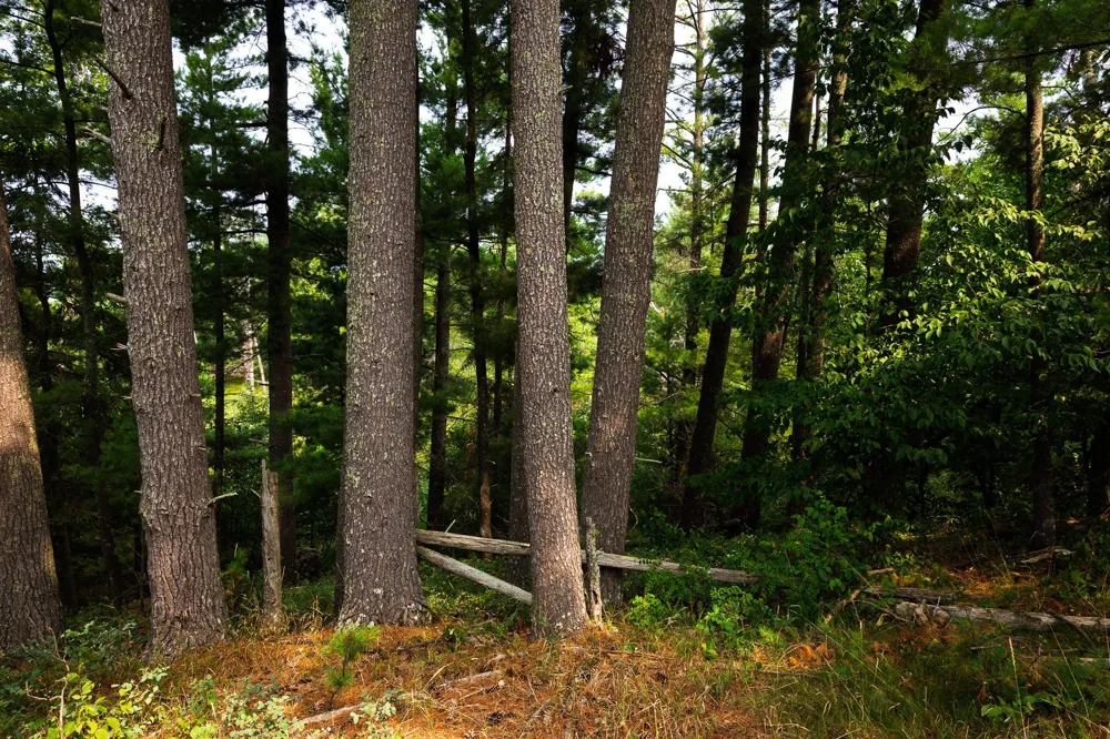 TBD County Road 23 Brainerd, MN 56401