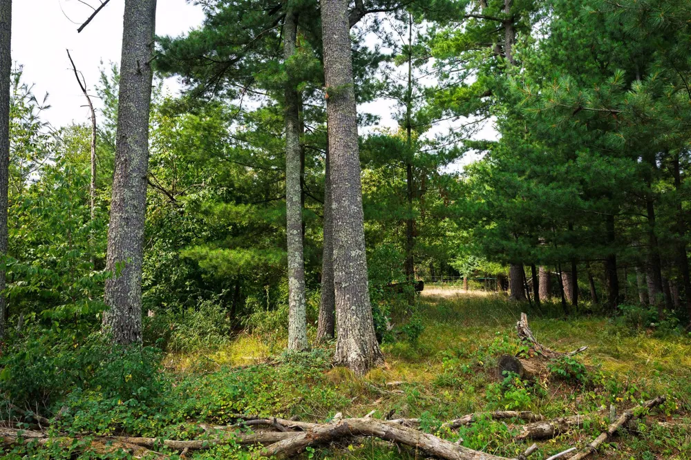 TBD County Road 23 Brainerd, MN 56401
