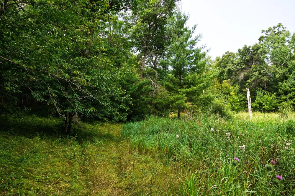 TBD County Road 23 Brainerd, MN 56401