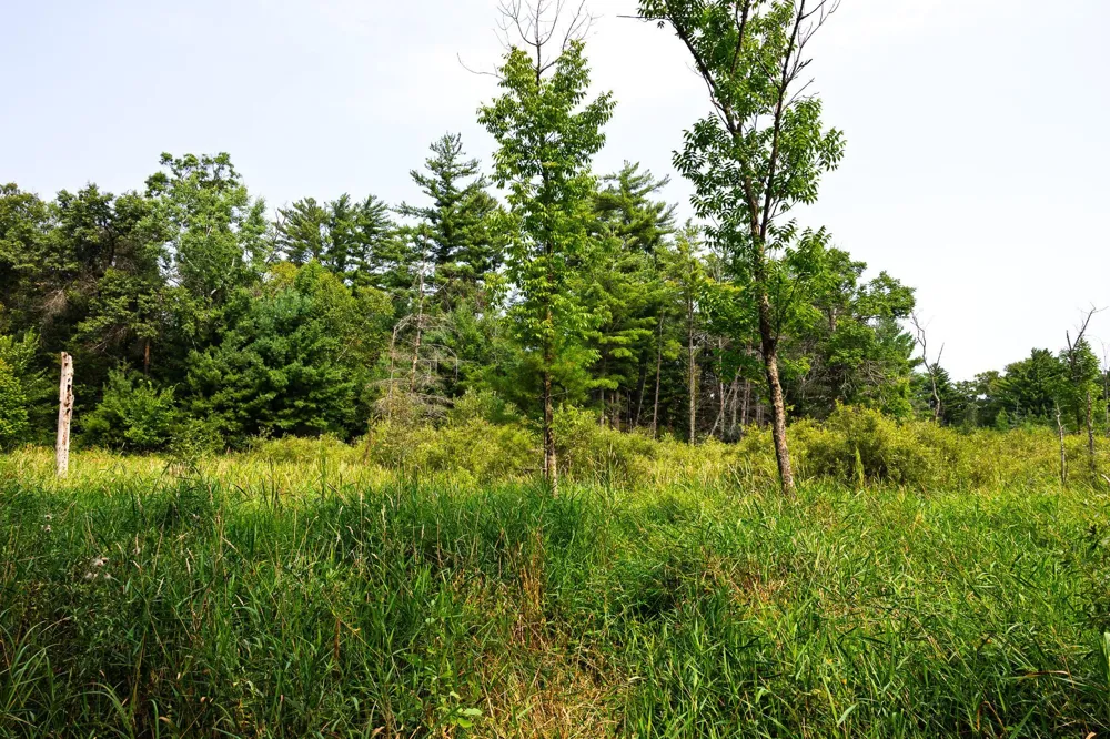 TBD County Road 23 Brainerd, MN 56401
