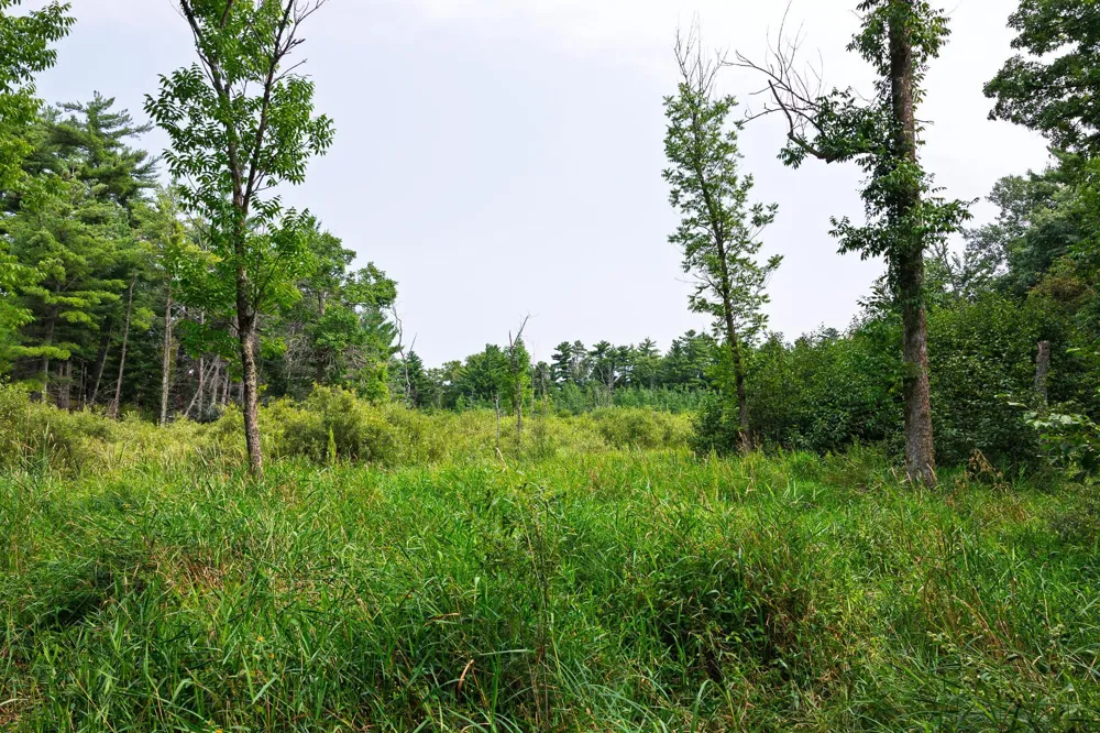TBD County Road 23 Brainerd, MN 56401
