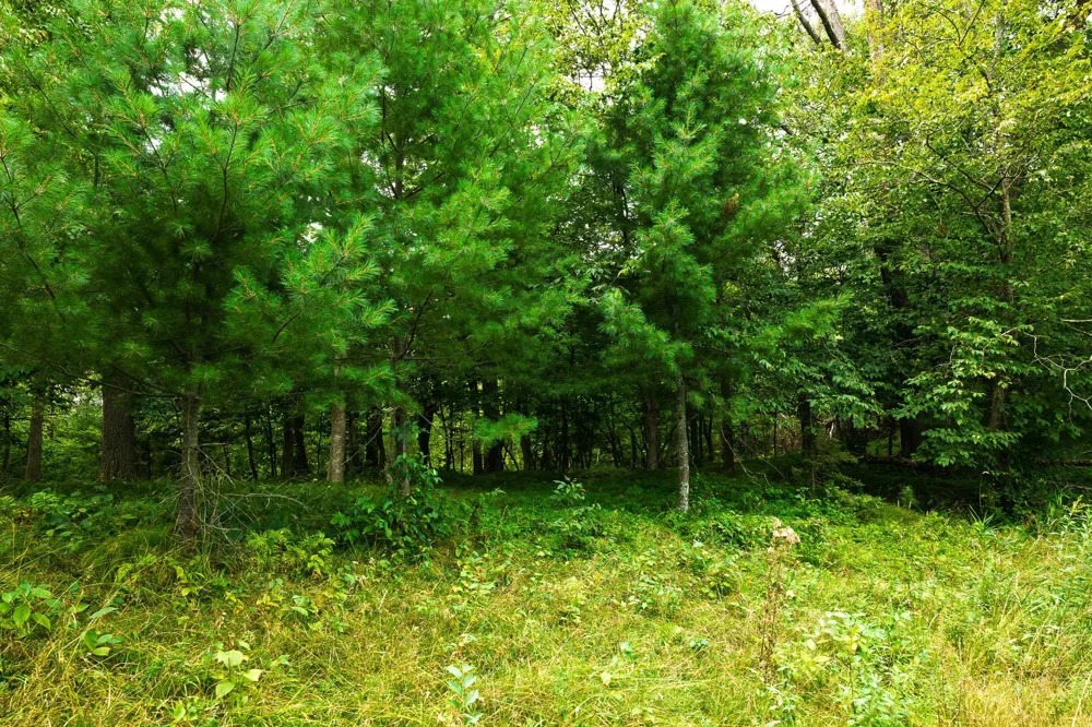 TBD County Road 23 Brainerd, MN 56401