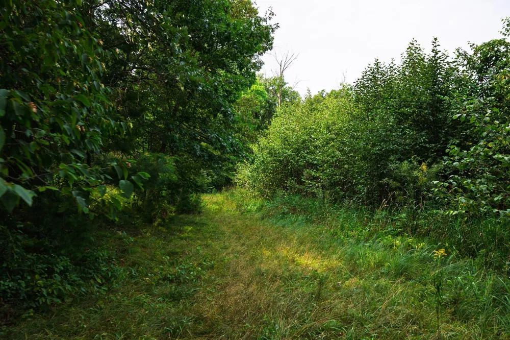 TBD County Road 23 Brainerd, MN 56401