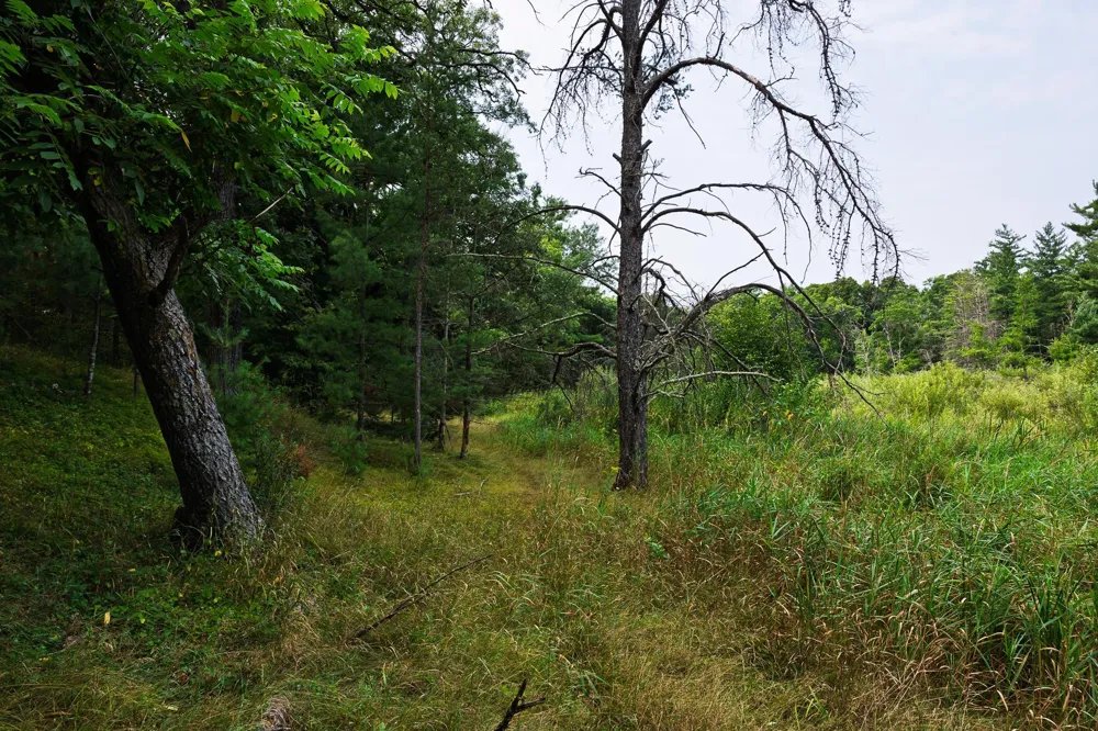 TBD County Road 23 Brainerd, MN 56401