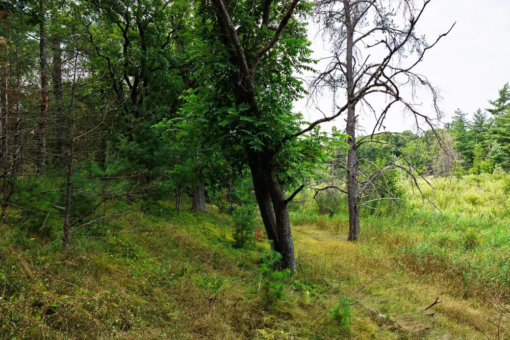 TBD County Road 23 Brainerd, MN 56401