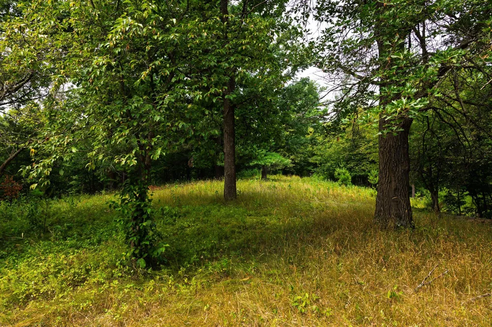 TBD County Road 23 Brainerd, MN 56401