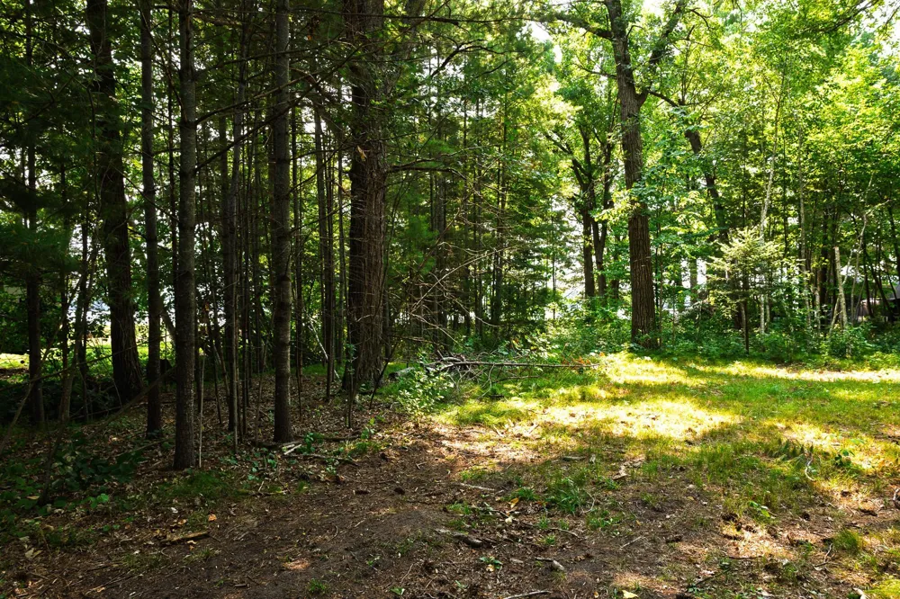 TBD County Road 23 Brainerd, MN 56401