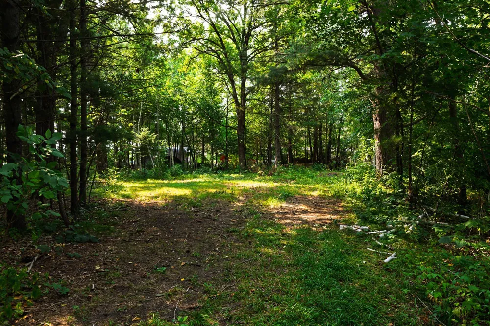 TBD County Road 23 Brainerd, MN 56401
