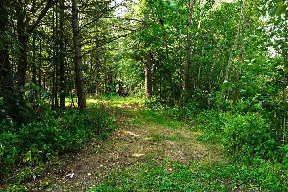 TBD County Road 23 Brainerd, MN 56401