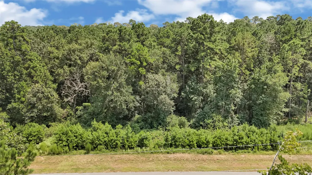 7 Sky Oak Lane Huntsville, TX 77340