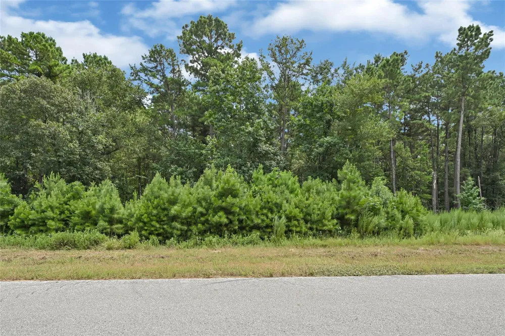 7 Sky Oak Lane Huntsville, TX 77340