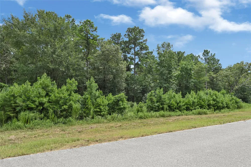 7 Sky Oak Lane Huntsville, TX 77340