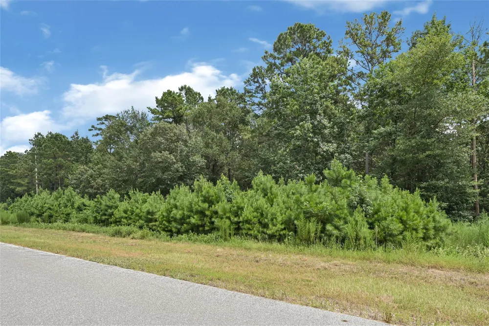 7 Sky Oak Lane Huntsville, TX 77340