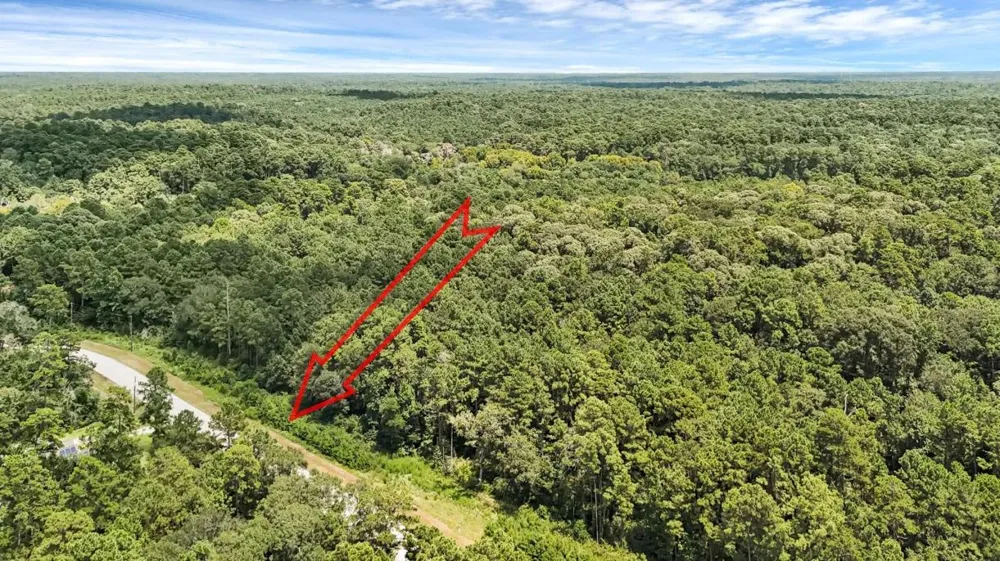 7 Sky Oak Lane Huntsville, TX 77340