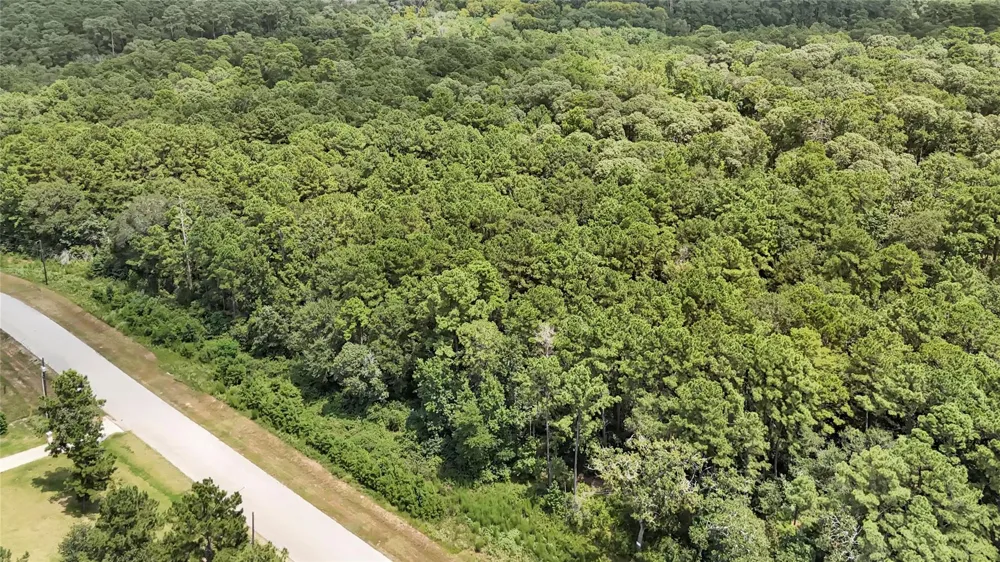 7 Sky Oak Lane Huntsville, TX 77340