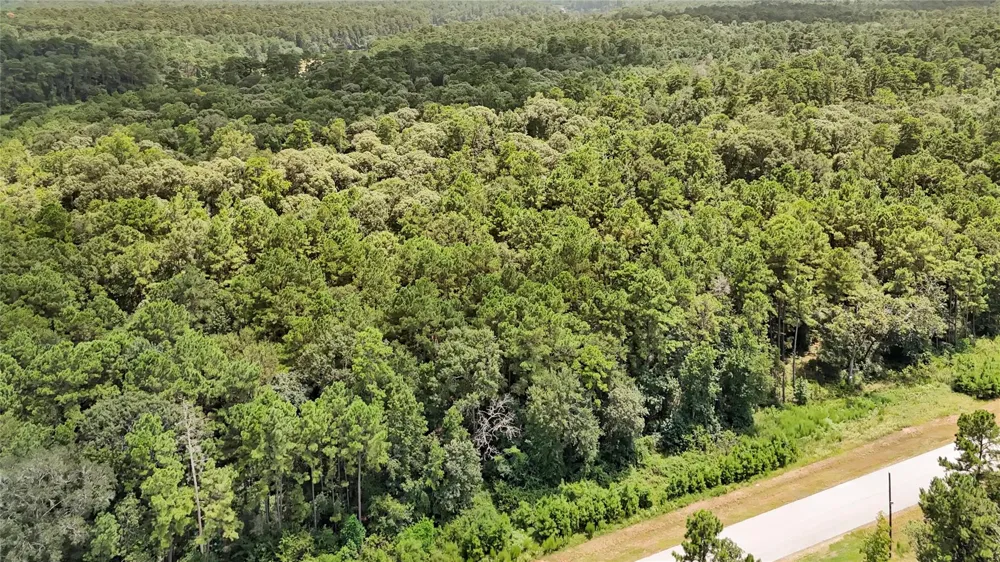 7 Sky Oak Lane Huntsville, TX 77340