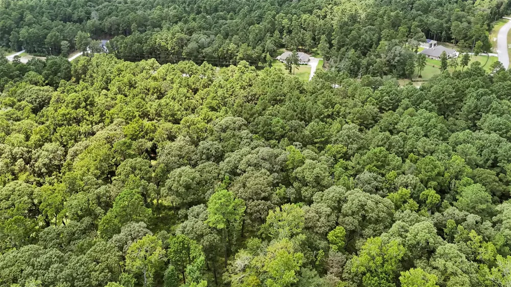 7 Sky Oak Lane Huntsville, TX 77340