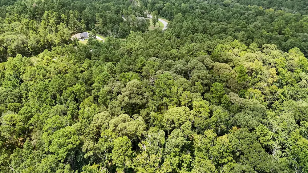 7 Sky Oak Lane Huntsville, TX 77340