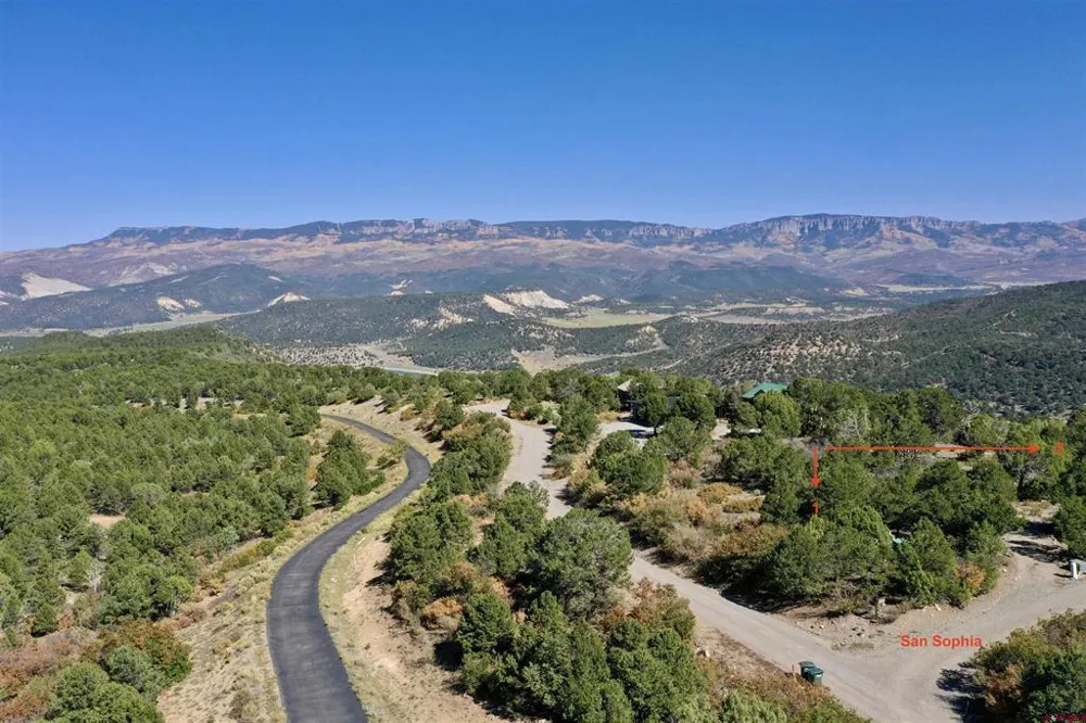 198 San Sophia Lane Ridgway, CO 81432