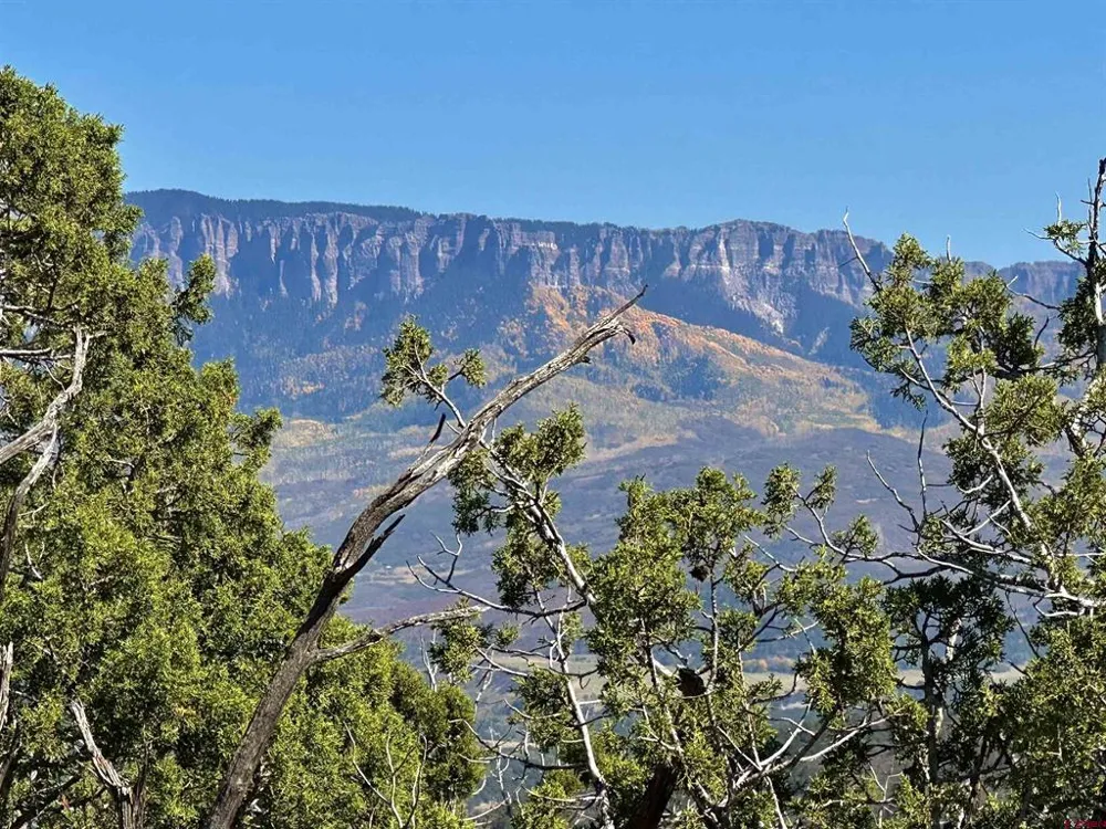 198 San Sophia Lane Ridgway, CO 81432