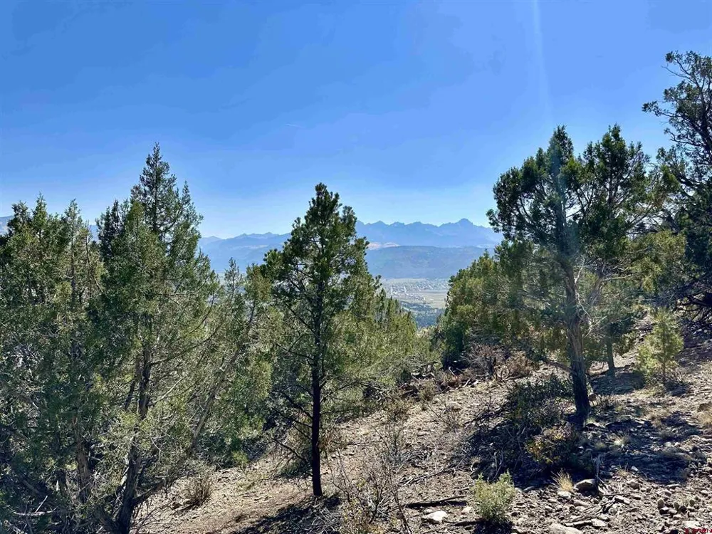 198 San Sophia Lane Ridgway, CO 81432