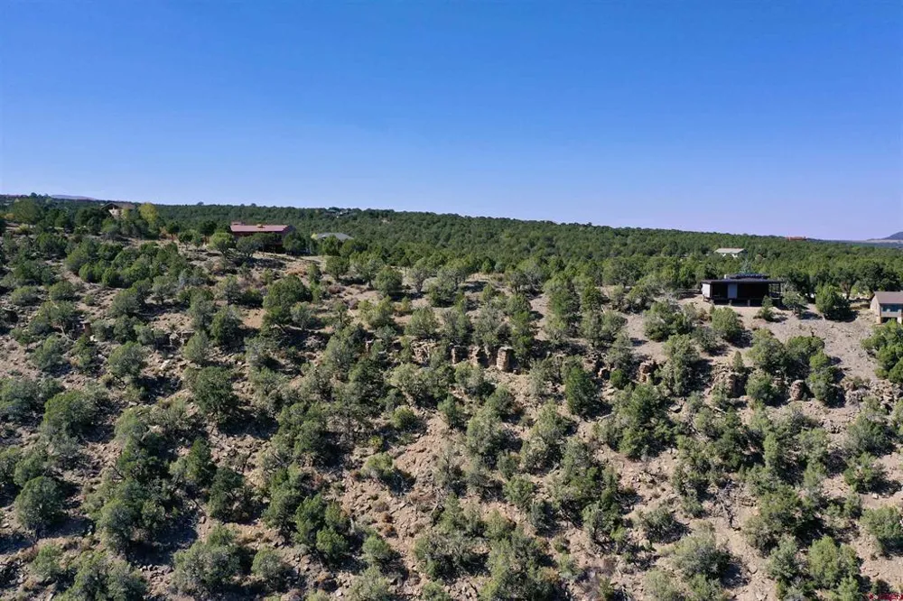 198 San Sophia Lane Ridgway, CO 81432