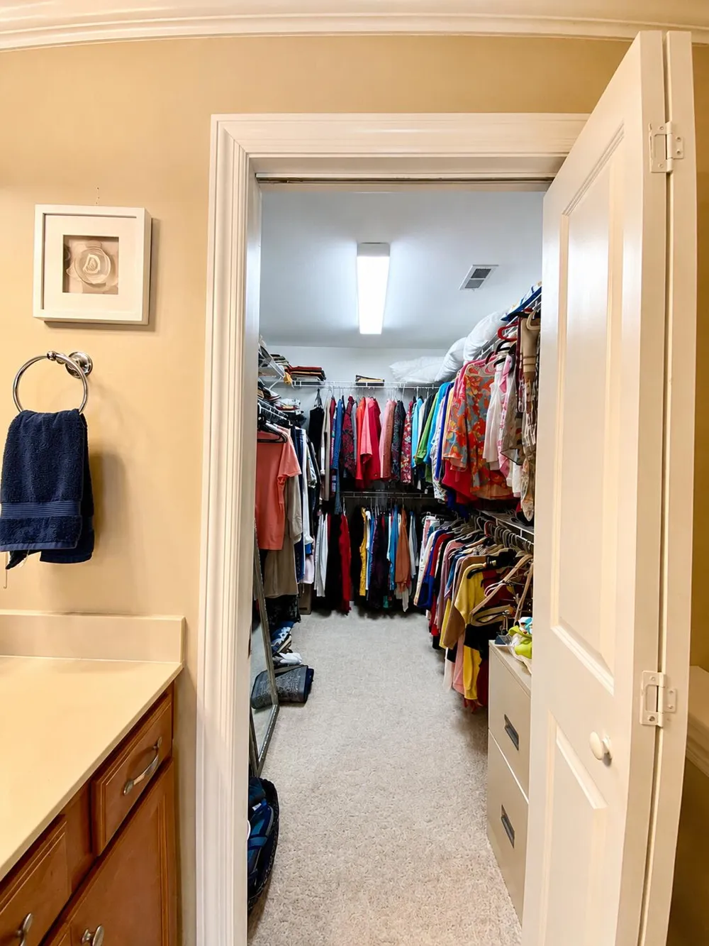 1663 Sedgefield Drive Ooltewah, TN 37363