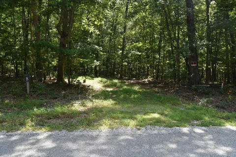 Deep Woods Road