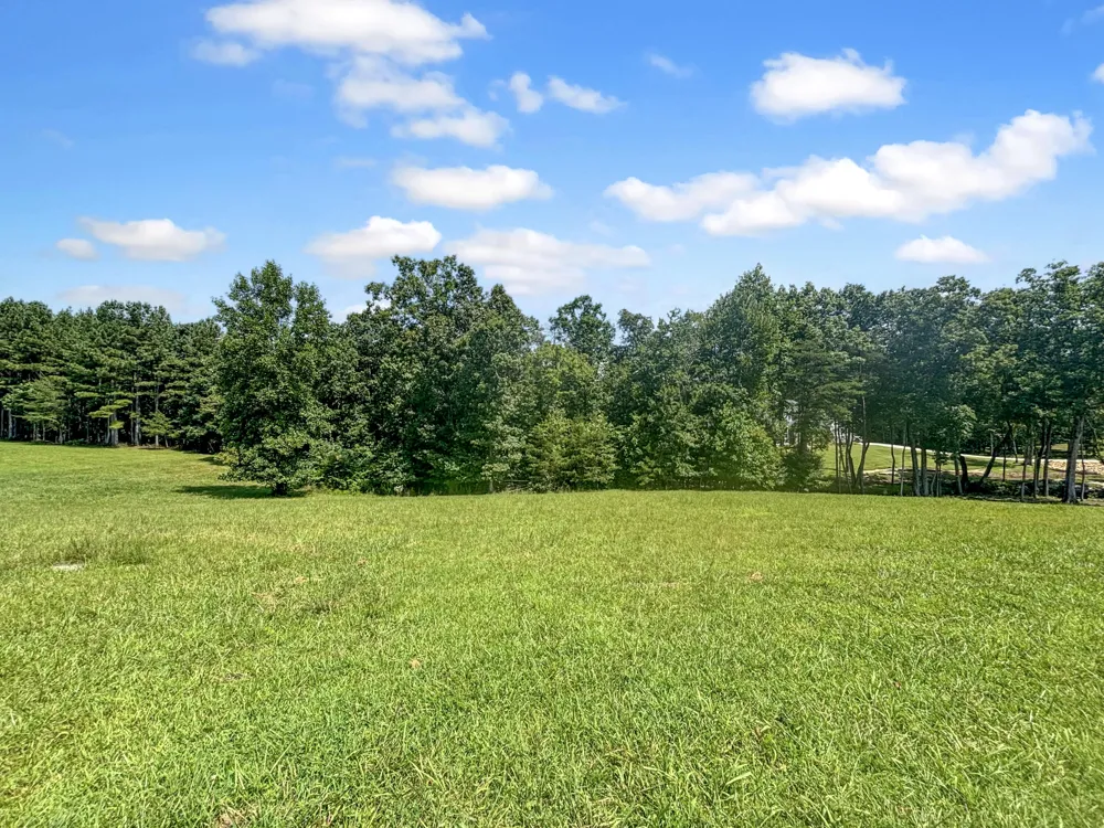815 River Bluffs Drive Jasper, TN 37347