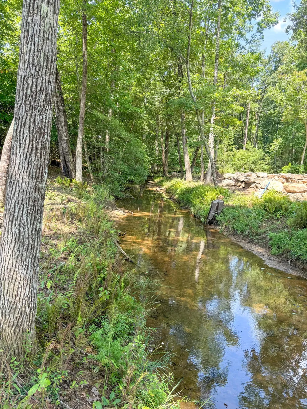 815 River Bluffs Drive Jasper, TN 37347