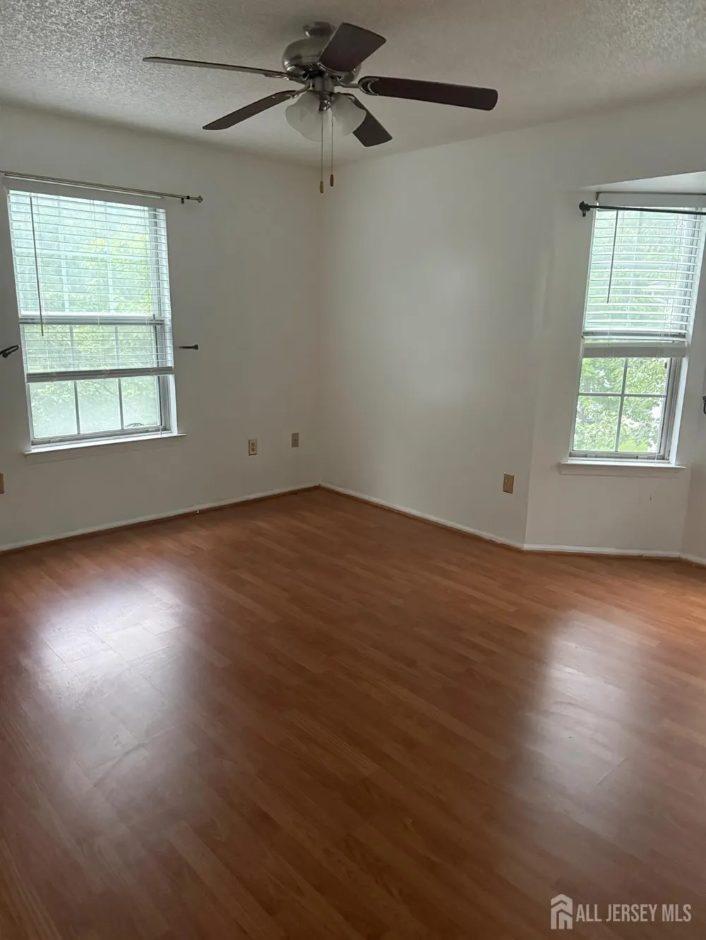 73 Rachel Court Franklin, NJ 08823