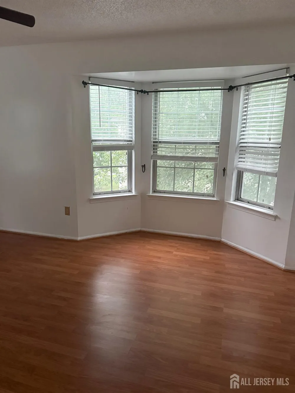 73 Rachel Court Franklin, NJ 08823