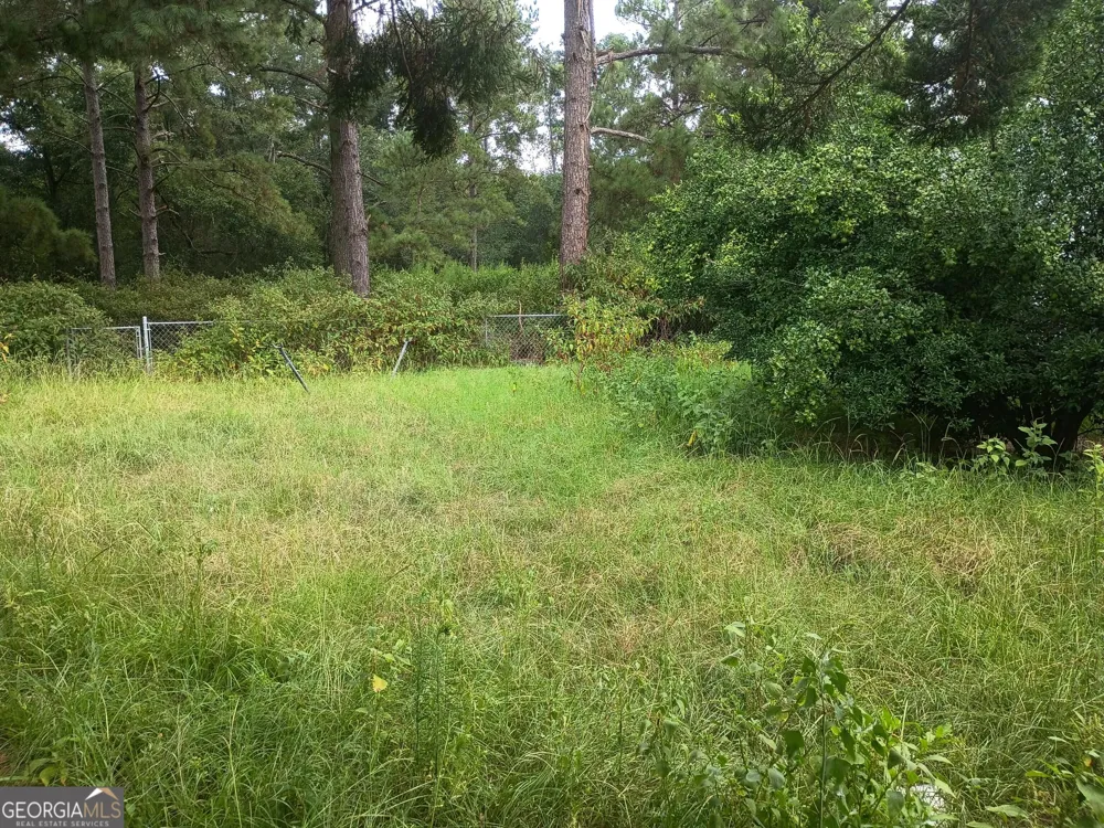 1229 NE Maryann Prescott RD Glennville, GA 30427
