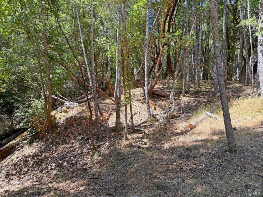 26006 Peacock Road Willits, CA 95490