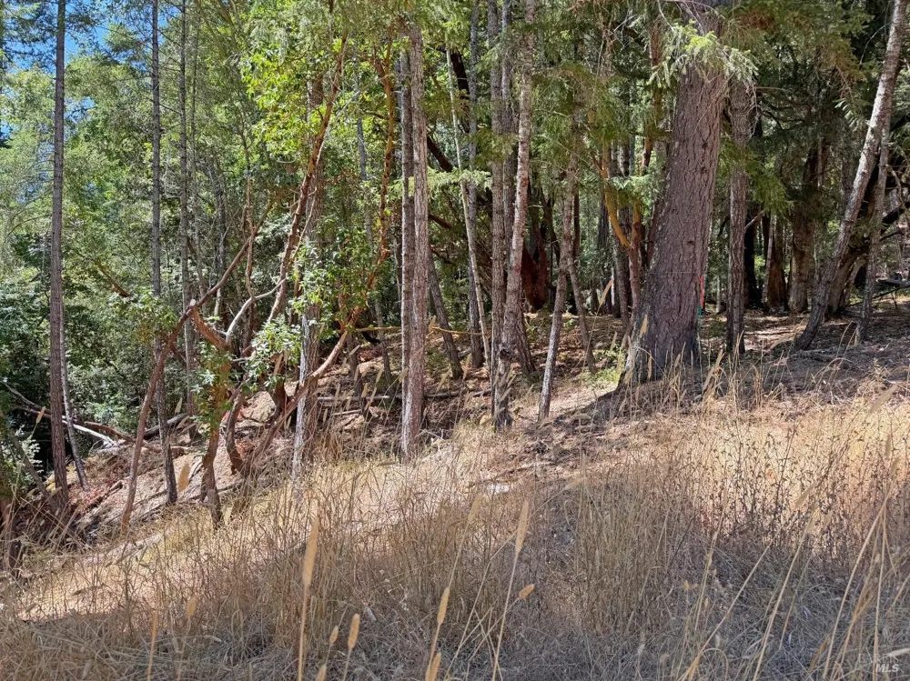 26006 Peacock Road Willits, CA 95490