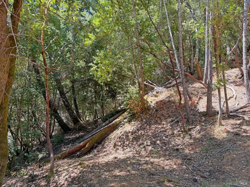 26006 Peacock Road Willits, CA 95490