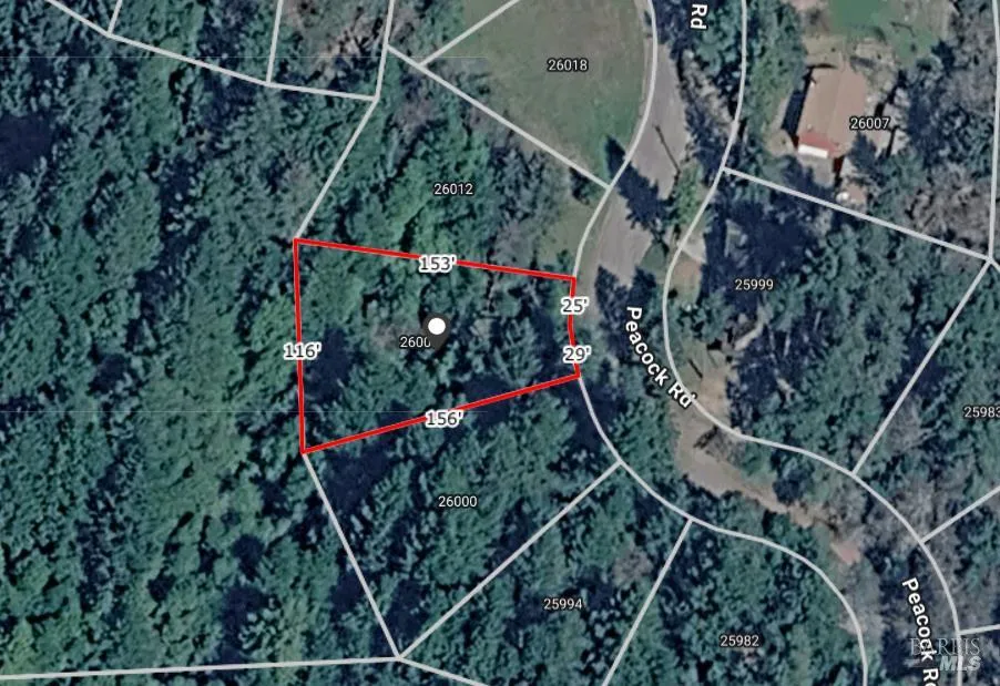 26006 Peacock Road Willits, CA 95490